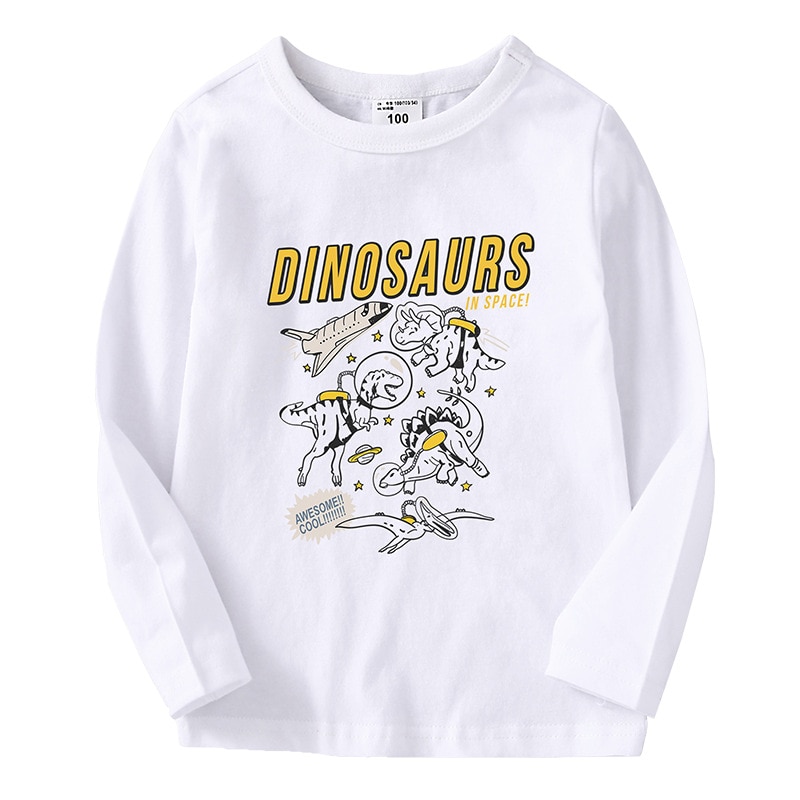 Boys Loose Printed Long-Sleeved T-Shirt